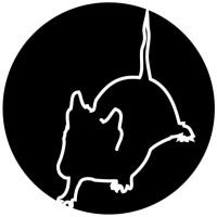 Picture of whitemouse
